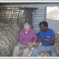 men siting on pile of hemp fibers